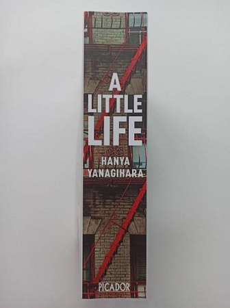 Little Life, Yanagihara, Hanya
