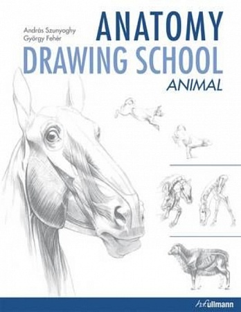 Anatomy Drawing School: Animals
