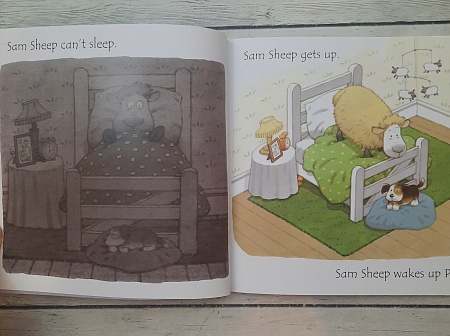 Phonics Readers: Sam Sheep can’t sleep