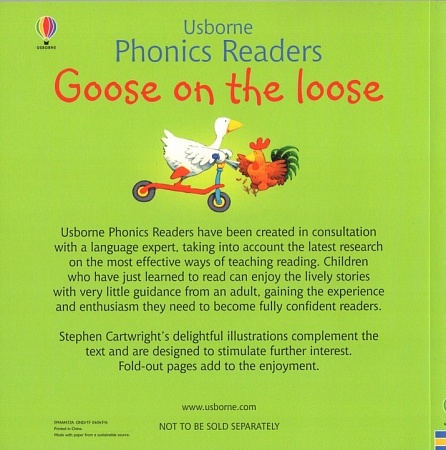 Phonics Readers: Goose On The Loose