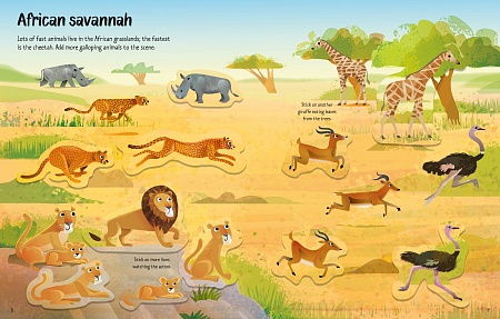 First Sticker Book: Wild Animals