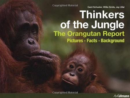 Thinkers of the Jungle