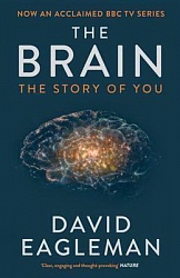 Brain, Eagleman, David