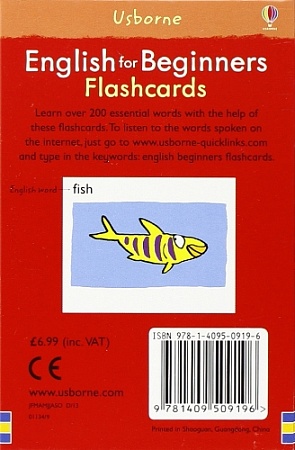 English for Beginners Flashcards (100 cards),