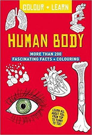 Colour + Learn: Human Body