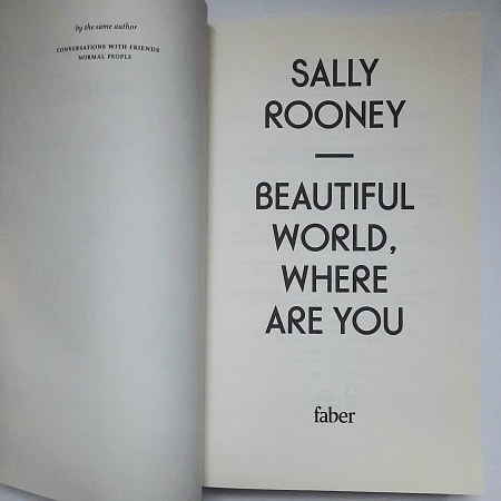 Beautiful World, Where Are You (TPB), Rooney, Sally