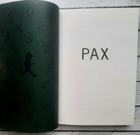 Pax (illustrated by Jon Klassen), Pennypacker, Sara