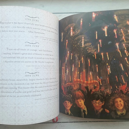 Harry Potter: A Magical Year (illustr.ed.), Rowling, J.K.