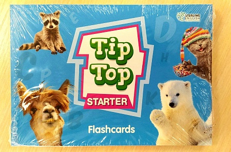 Tip Top Starter:  Flashcards